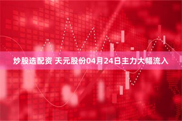 炒股选配资 天元股份04月24日主力大幅流入