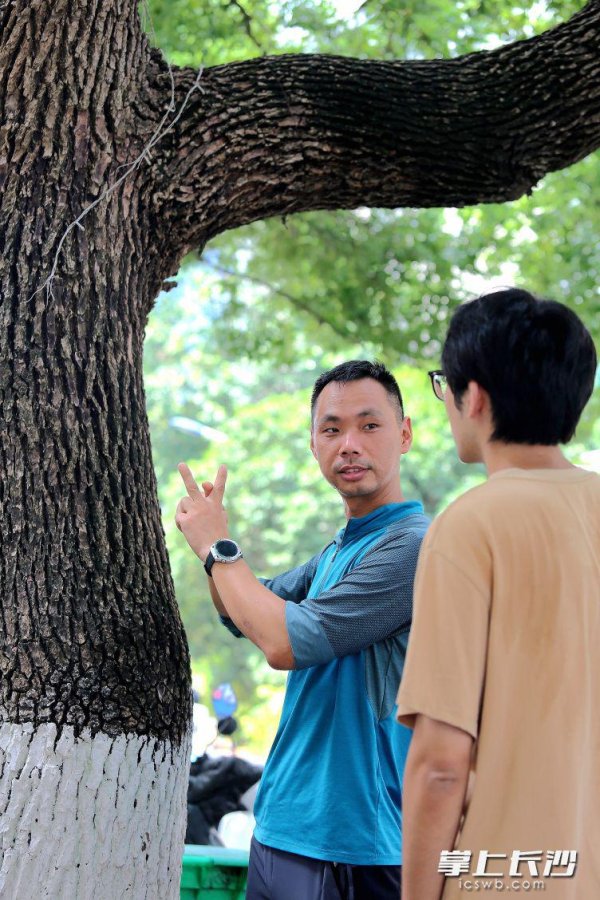 深圳配资门户网 不走寻常路的长沙攀树师徐潇“游走”在众多大树之间——他, 在树冠书写人生价值