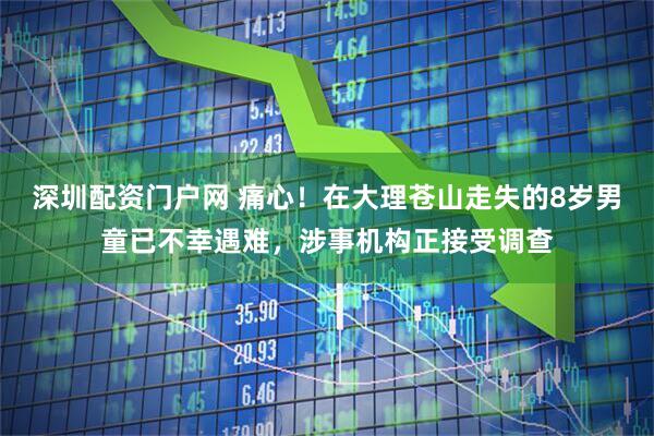 深圳配资门户网 痛心！在大理苍山走失的8岁男童已不幸遇难，涉事机构正接受调查