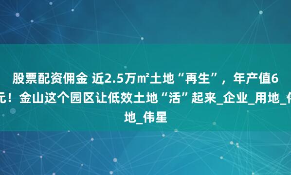 股票配资佣金 近2.5万㎡土地“再生”，年产值6亿元！金山这个园区让低效土地“活”起来_企业_用地_伟星